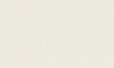 Rasch 1.06m*10m 983531 Novela Xl