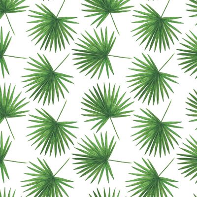 Листья пальмы