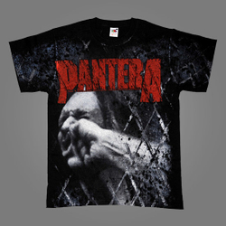 Футболка Pantera " Vulgar Display Of Power "