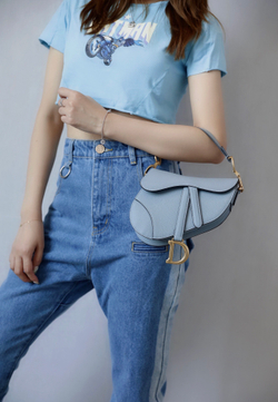 Christian Dior Saddle Bag 21 cm