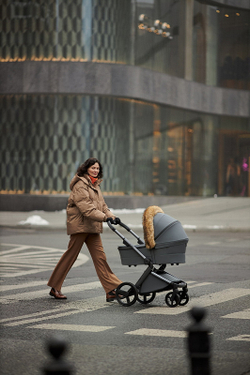 Детская коляска Anex l/type 3 в 1 Frost