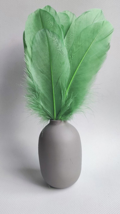 Гусиные перья молодая листва 2 сорт 20 шт.