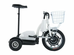 Трицикл WELLNESS EASY 350w