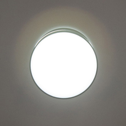 Накладной светильник Citilux CL745011N