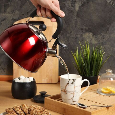 Чайник нерж, 2.5 л, свист, зеркал, ручк пластик, Daniks, индукц, красн, MSY-021R