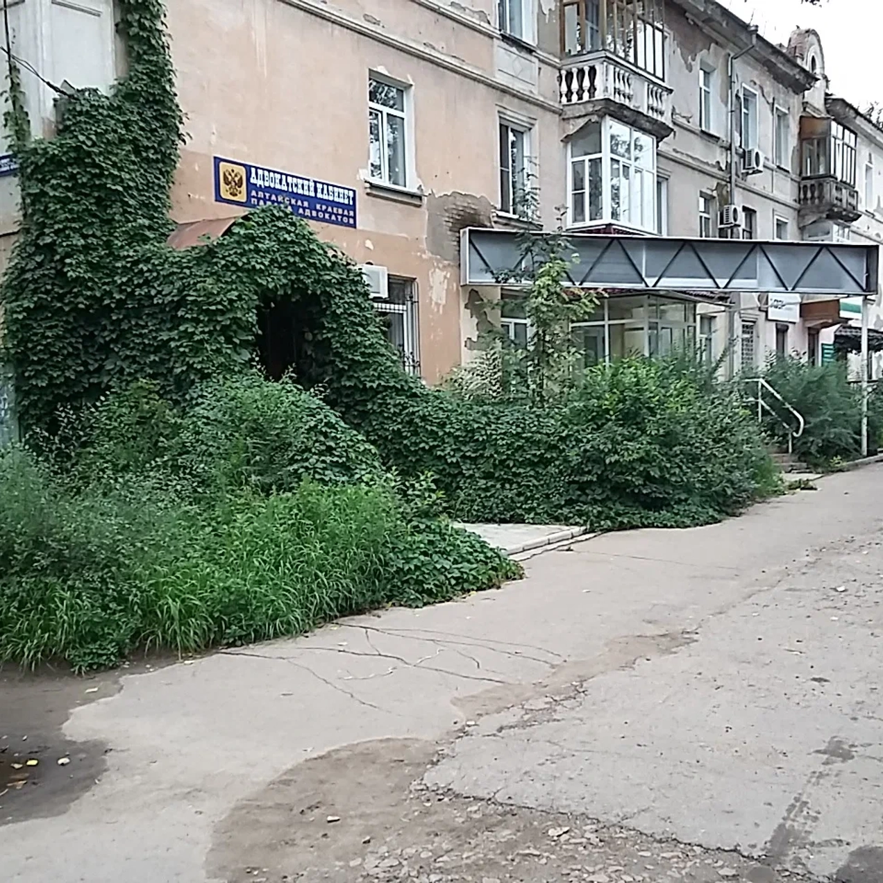 Квалифицированная юридическая помощь  в Рубцовске