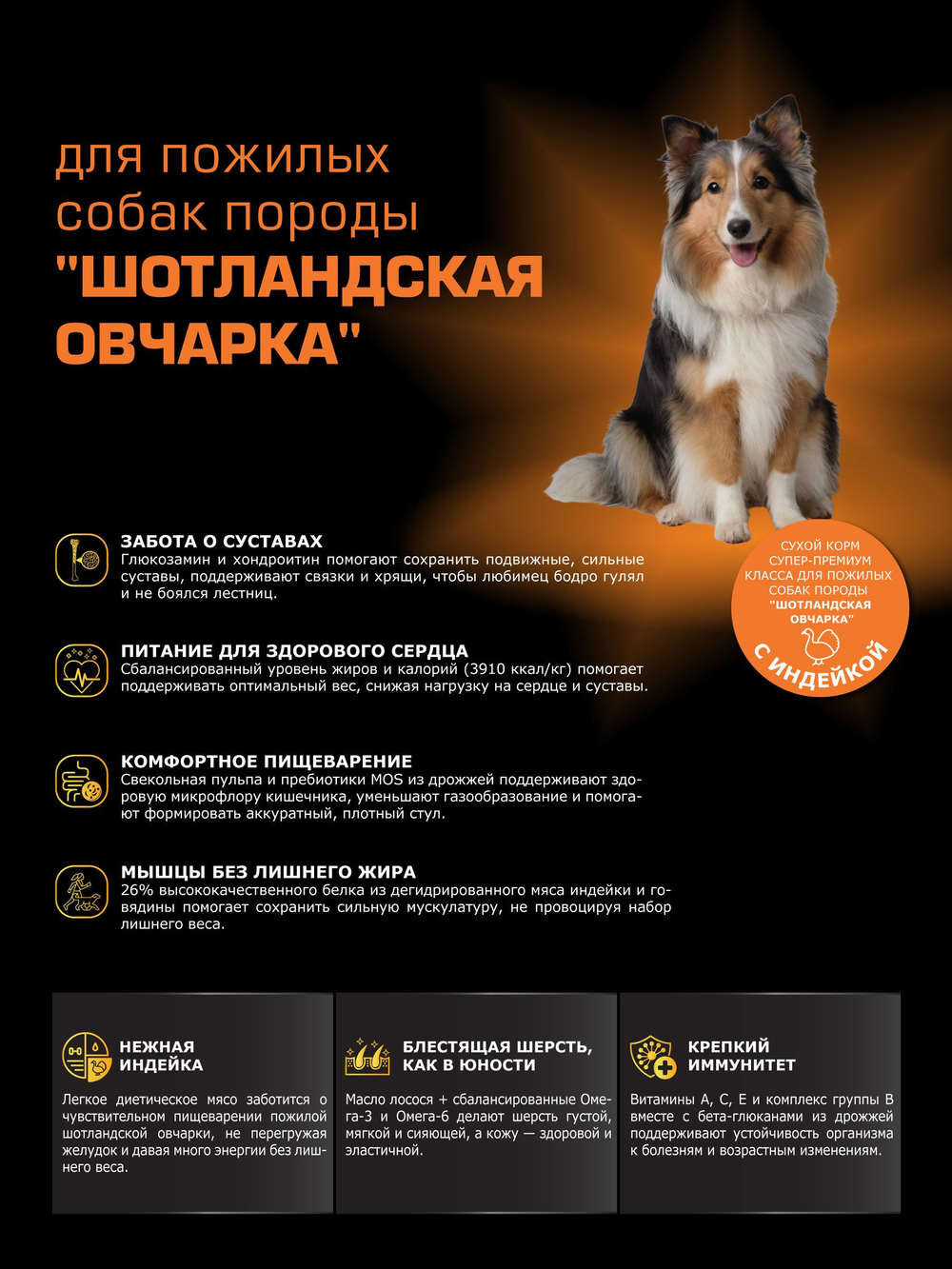 Корм сухой для пожилых собак породы Шотландская овчарка старше 5 лет, с индейкой, 12 кг, QUATTRO