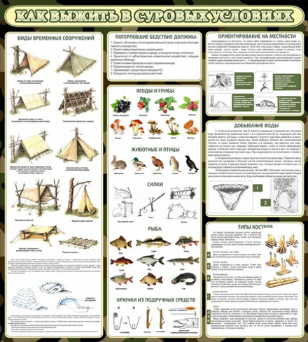 Стенд "Как выжить в суровых условиях"