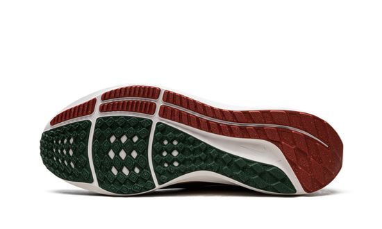 Кроссовки Nike Air Zoom Pegasus 39 "A.I.R. Hola Lou"