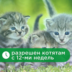 Капли для кошек до 5кг от блох, клещей, вшей, власоедов, а так же для лечения ушной чесотки и предотвращения нападения комаров БлохНэт Форте (Астрафарм), 1пипетка