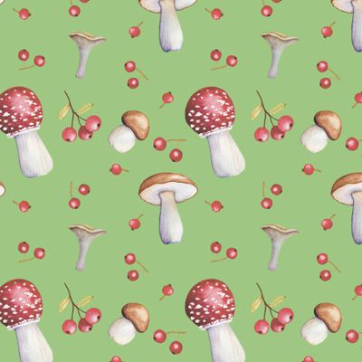 Грибы и мухоморы на зеленом