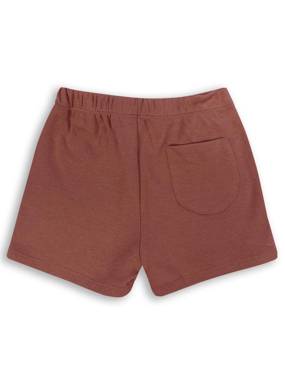 Костюм для мальчиков (свитшот, шорты) коричневый, р. 104 см (MINAKU)