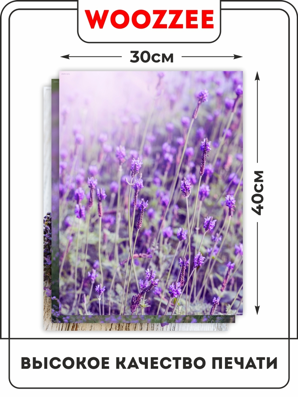Набор постеров "Убранство Лаванды" 3шт.