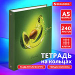 Тетрадь на кольцах А5 (175х215 мм) 240 листов твердый картон клетка с разделителями BRAUBERG Авокадо (4 штуки в упаковке)