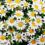 Искусственное растение шар «Самшит» цветы белые D-45см Ultramarine