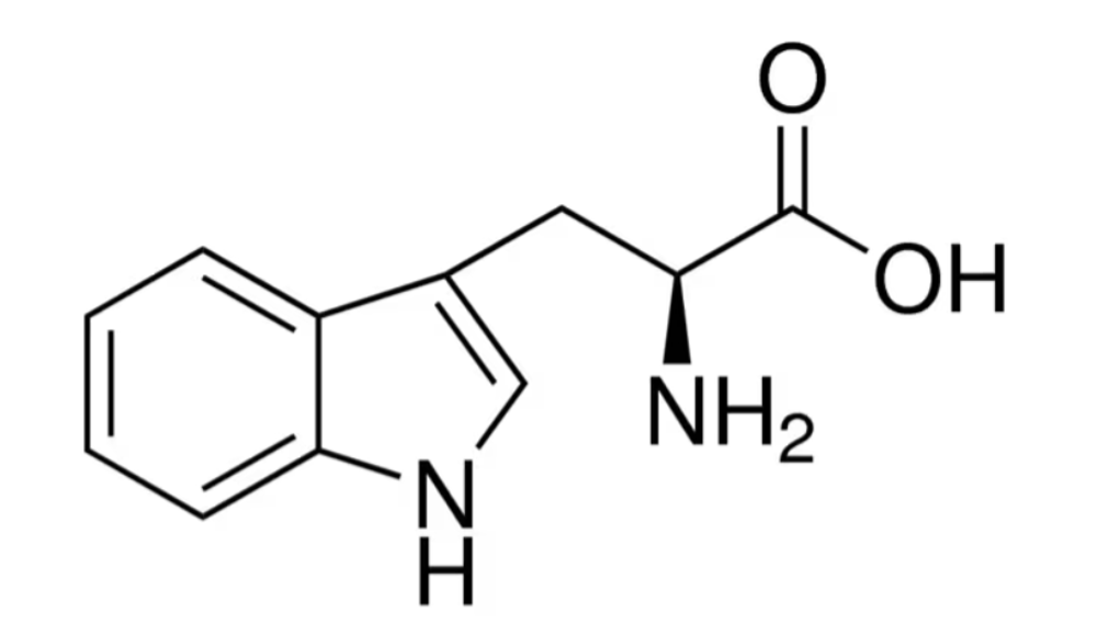 L-триптофан формула