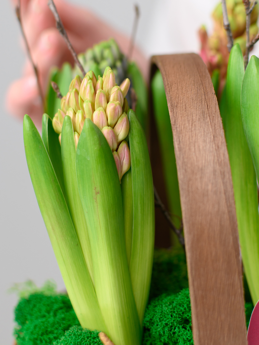 Аромат весны