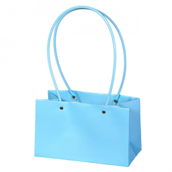 Пакет для цветов ПРЯМОУГОЛЬНЫЙ 22*10,5*13,5 СВЕТЛЫЙ