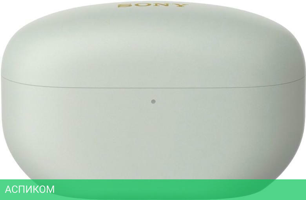 Наушники Sony WF-1000XM5 серебристый