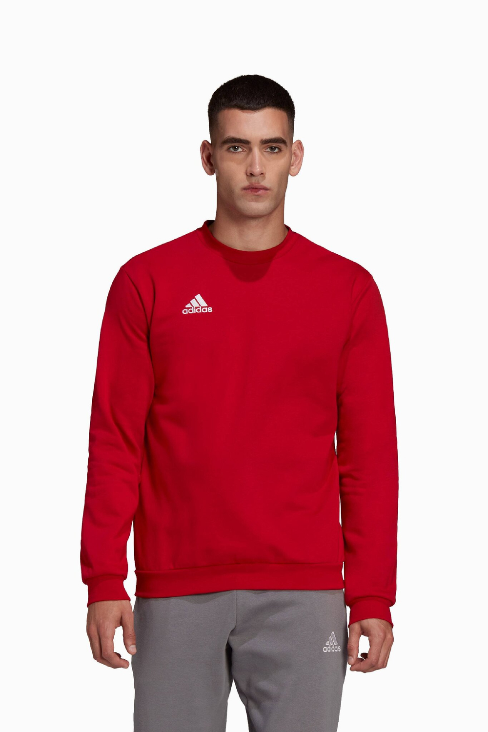 Кофта adidas Entrada 22 Sweat Top