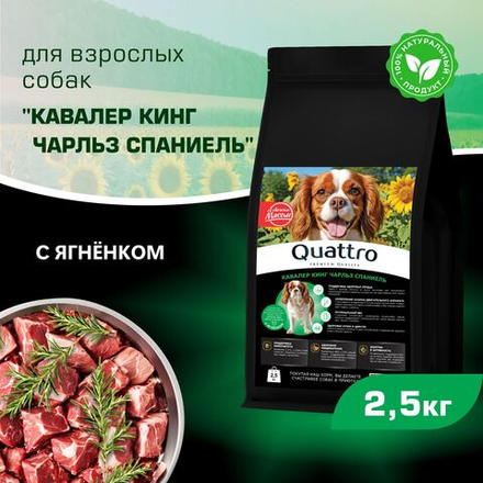 Корм сухой для взрослых собак породы Кавалер кинг Чарльз спаниель, с ягненком, 2,5 кг, QUATTRO