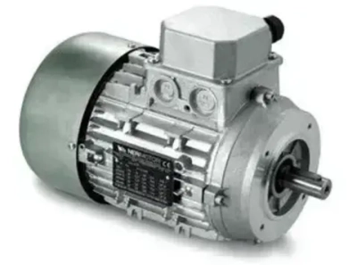 Электродвигатель Neri Motori серии T