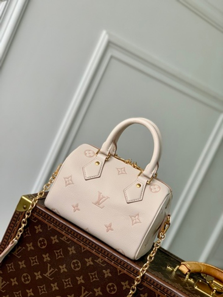 Louis Vuitton Speedy 20