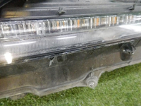 DSCN9585.jpg