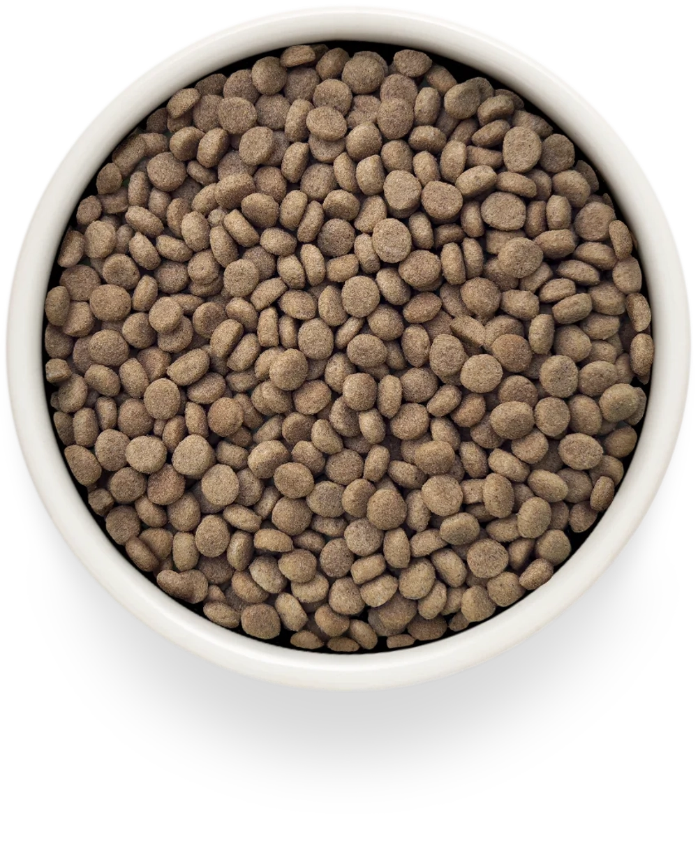 Grandorf URINARY S/O, Gluten & Grain Free, Veterinary Diet (Turkey)