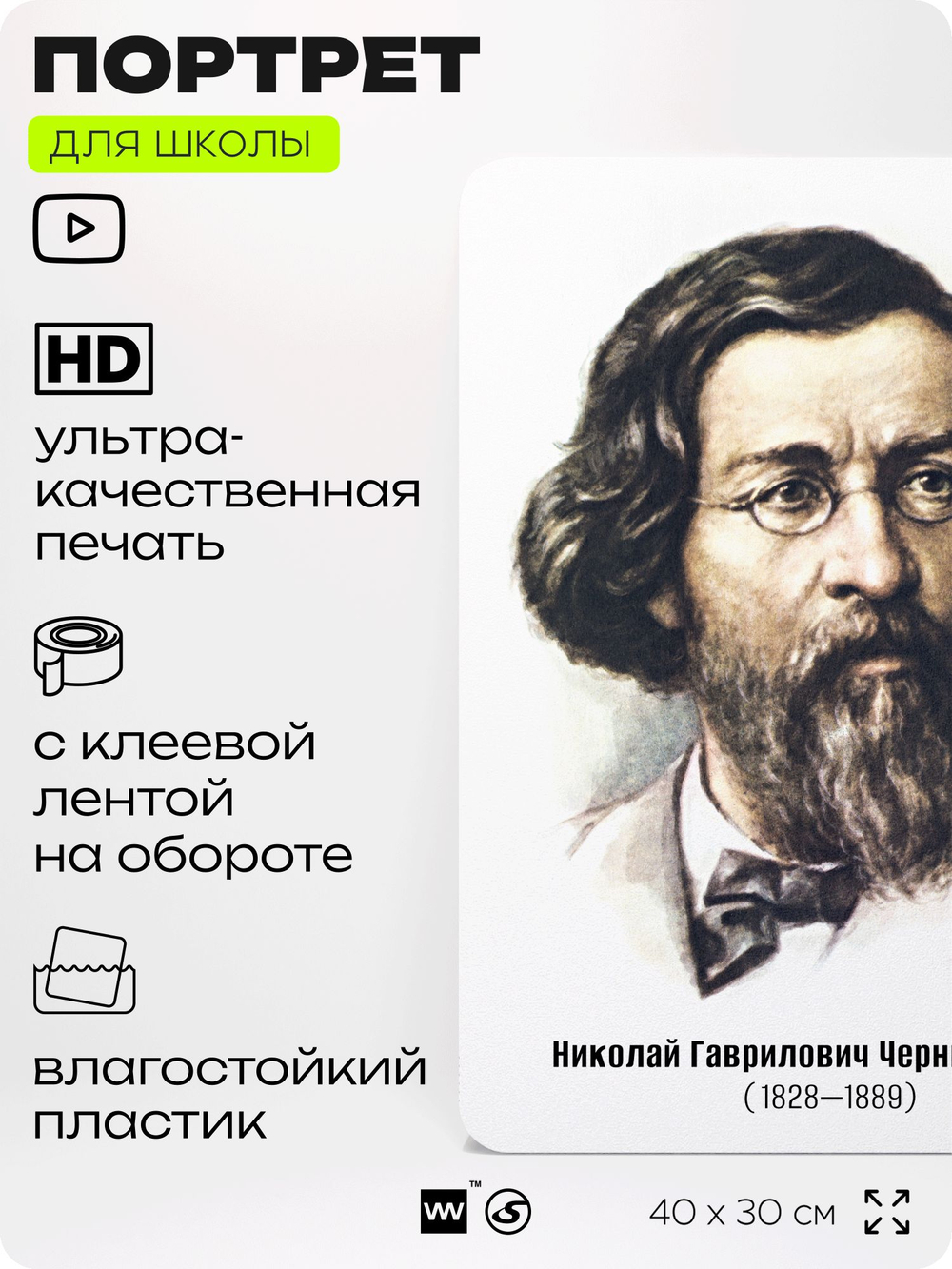 Портрет для школы в кабинет литературы и русского языка "Чернышевский Николай Гаврилович", стенд школьный для класса, для оформления классного уголка, 40х30 см, Silver Plane x Айдентика Технолоджи