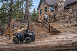 Квадроцикл KAWASAKI Brute Force 750 EPS (2024) (ПСМ)