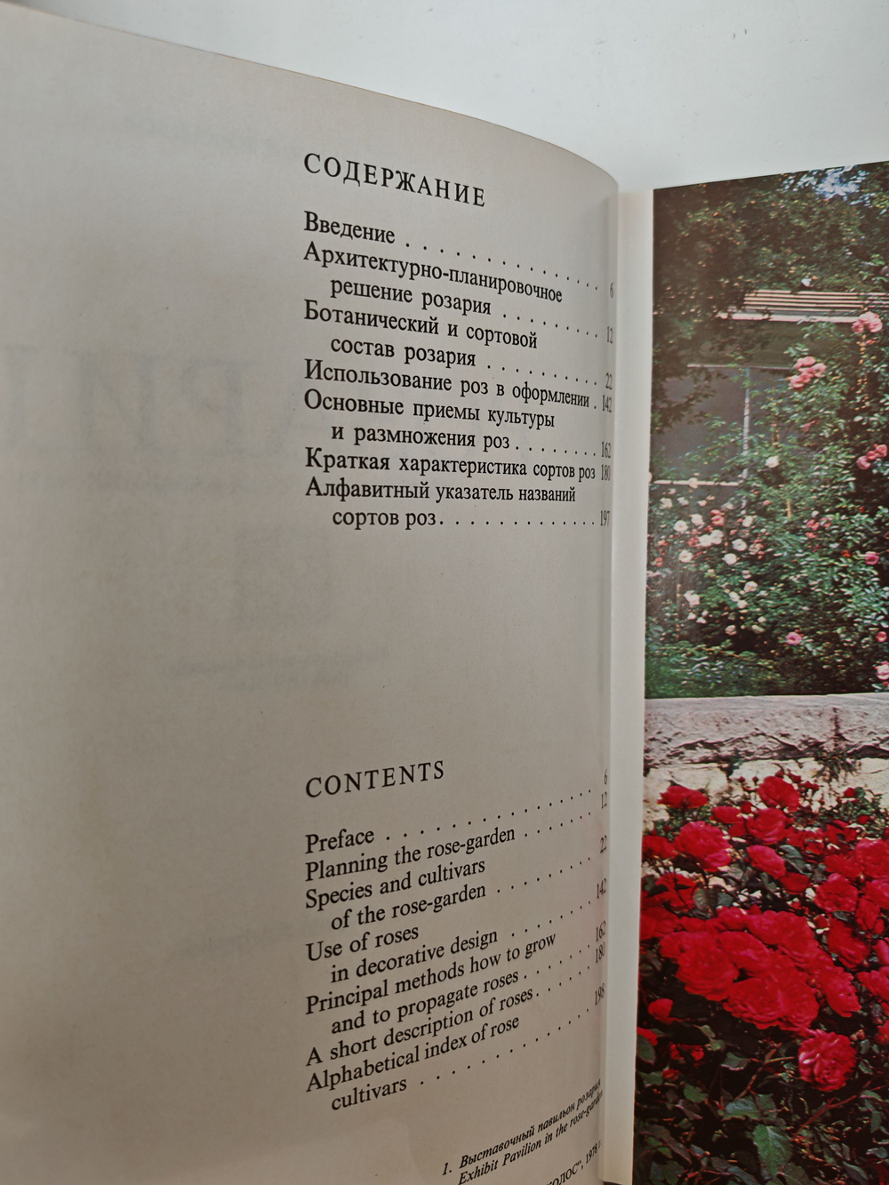 Розарий Главного ботанического сада Академии наук СССР