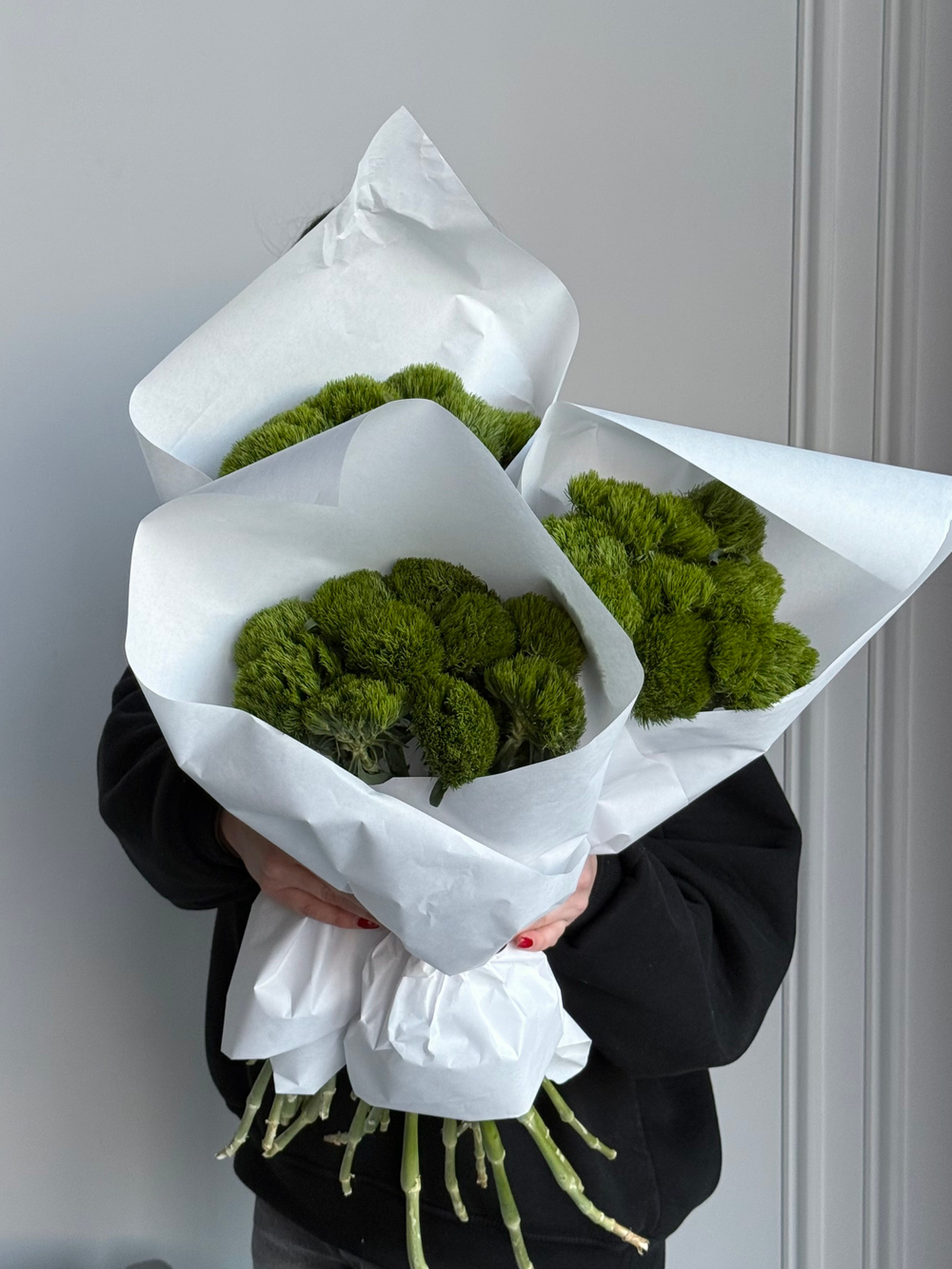 Охапка диантусов в зеленом оттенке сорта Грин трик 10 шт