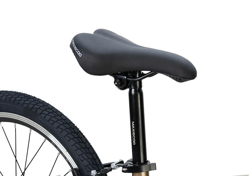 Велосипед 20'' Maxiscoo 1BIKE Бронзовый Матовый (2026)