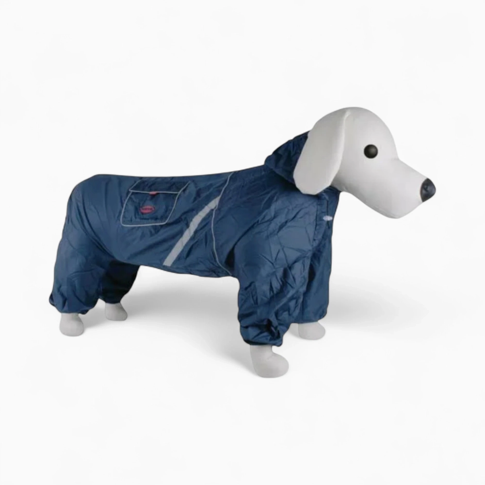 Дождевик «Dеzzie»