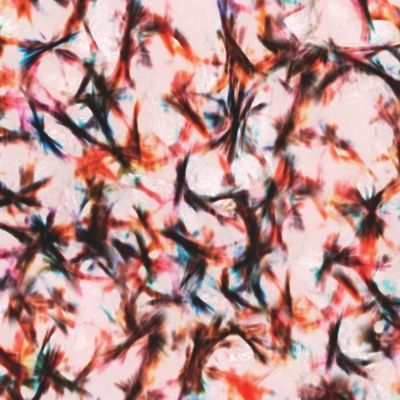 Красные веточки рисунок камня