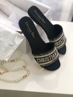 Christian Dior Dway Slide