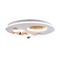 Потолочный светодиодный светильник Favourite Plaides 4630-5C
