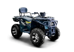 Квадроцикл BIZON ZX350