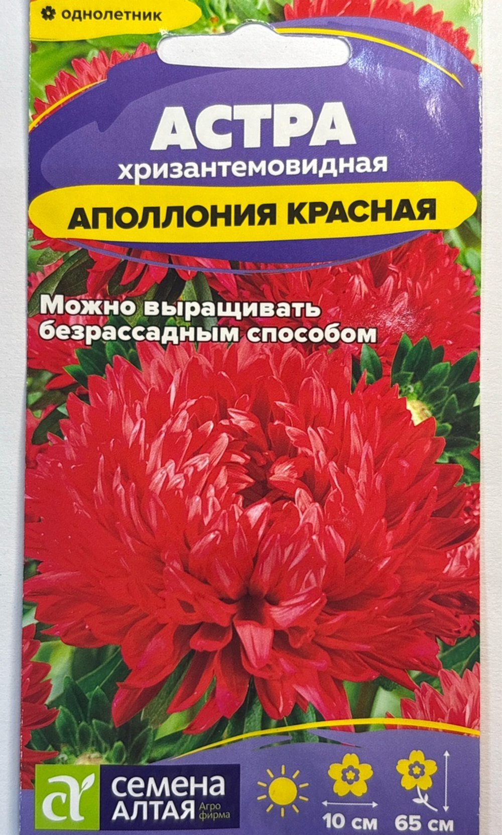 Астра Аполлония Красная 0,2 г хризантемовидная СМЦ-414