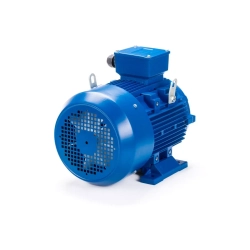 Электродвигатель ESQ 400 L4-SDN- 600/1500 IMB3