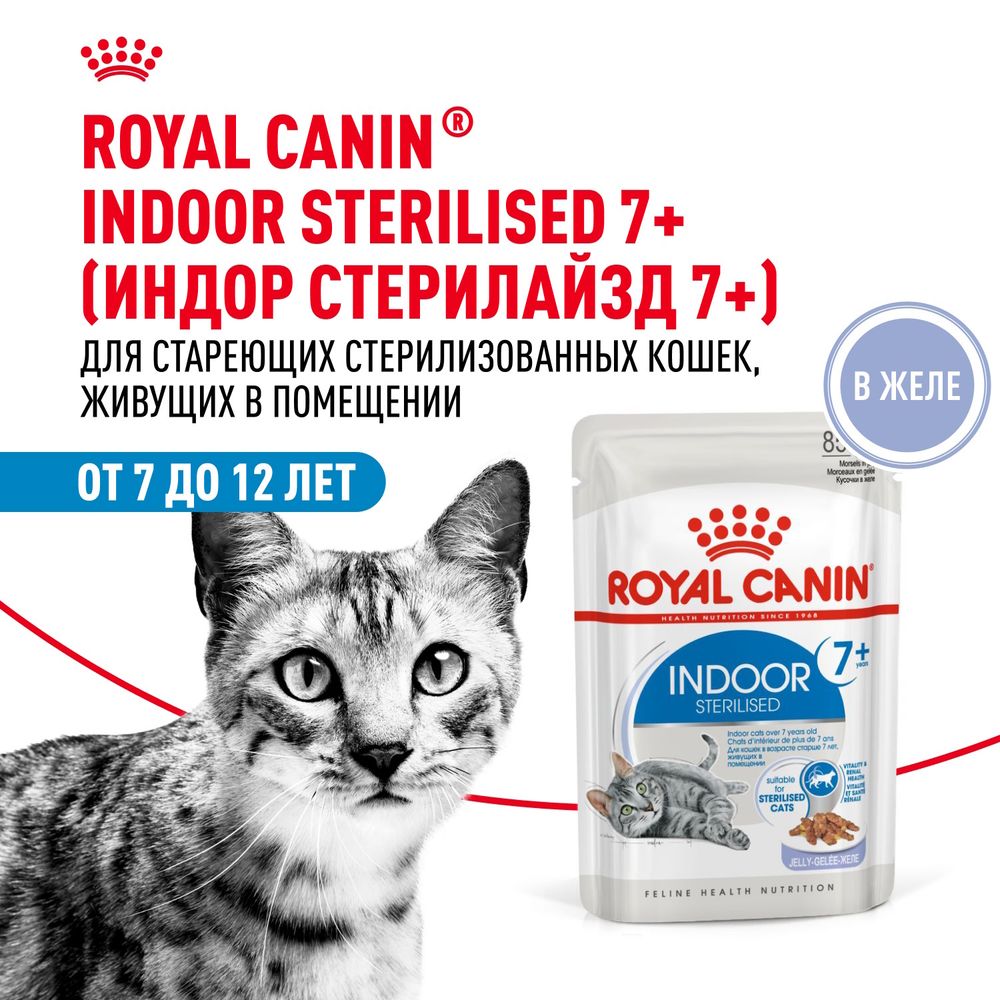 Пауч Royal Canin Indoor Sterilized 7+ для кошек в возрасте от 7 до 12 лет, живущих в помещении, небольшие кусочки в желе Пауч Royal Canin Indoor Sterilized 7+ для кошек в возрасте от 7 до 12 лет, живущих в помещении, небольшие кусочки в желе