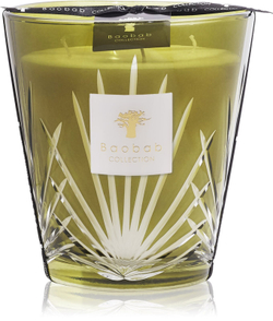 Baobab Collection Palm Palm Springs - ароматическая свеча /  16 cm   / GTIN 5415198486850