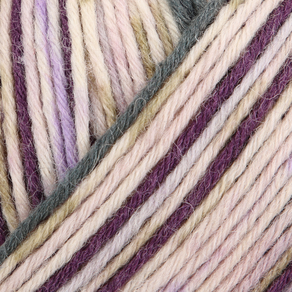 Пряжа для вязания Nordic Winter Color (03043) Schachenmayr Regia, 8 ниток (150г/300м).