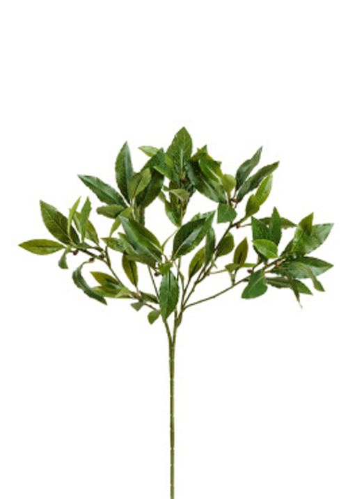 Ветка лавра 45 см