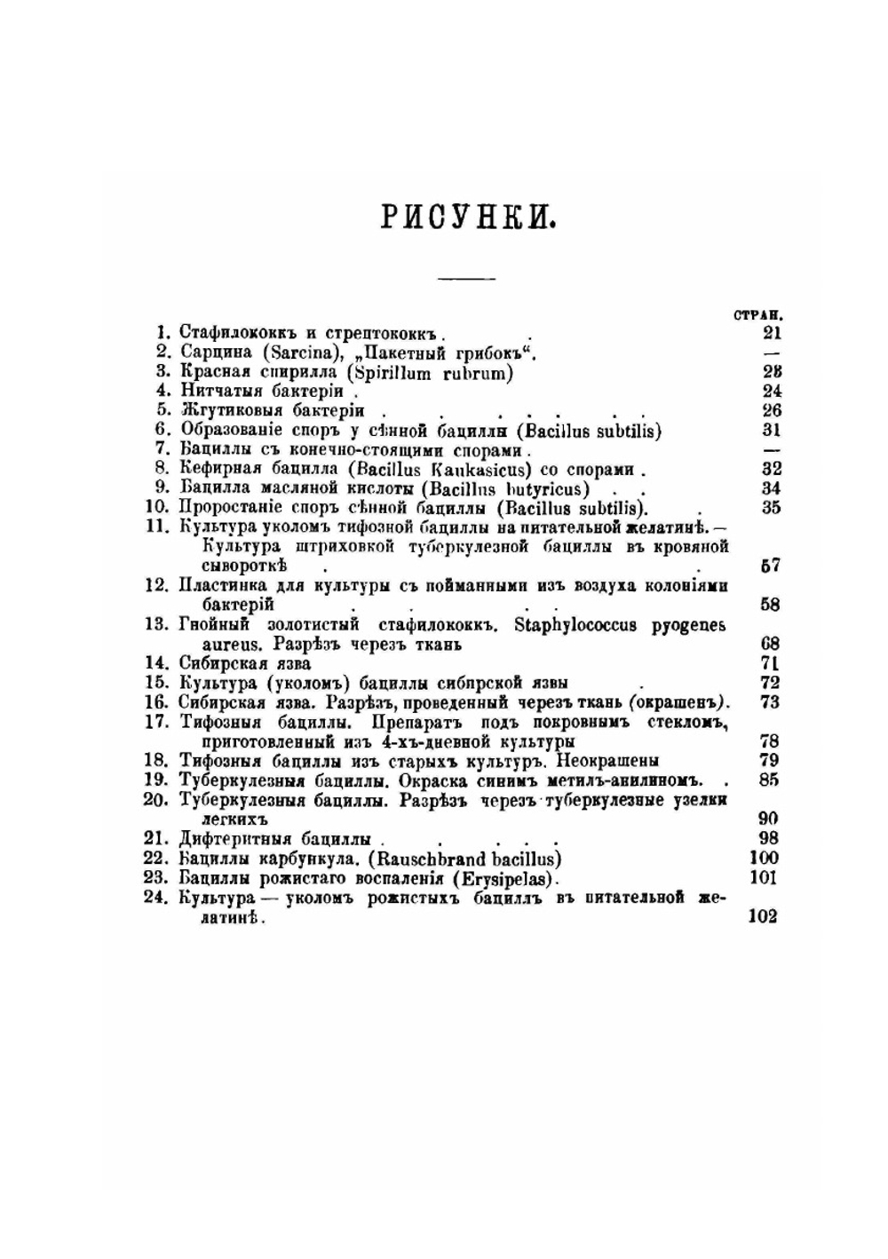 Бактерии и их роль в жизни человека | В.О. Мигула