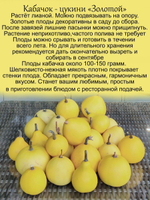Кабачок-цукини "Золотой"