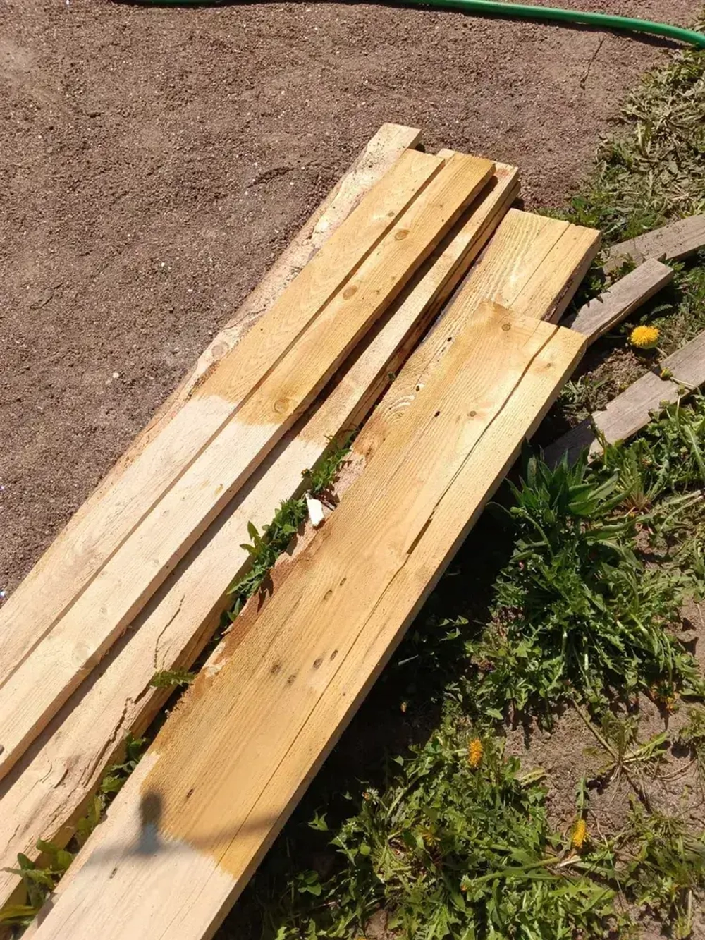 Антисептик Концентрат 1:19. Трудновымываемый антисептик. FREEДОМPRO К200