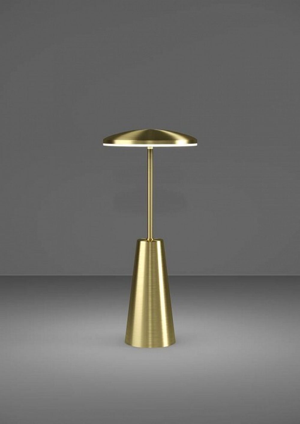 Настольная лампа декоративная Eglo PICCOLA 900923