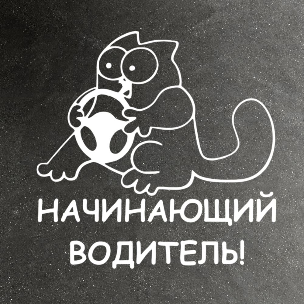 Виниловая наклейка на авто "Начинающий водитель" кот Саймона